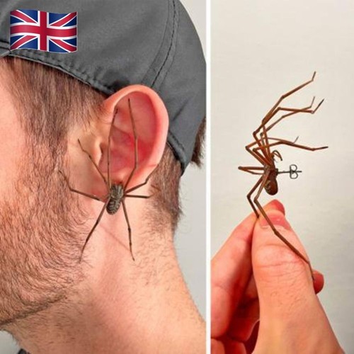 Halloween spider stud earrings - halloween,